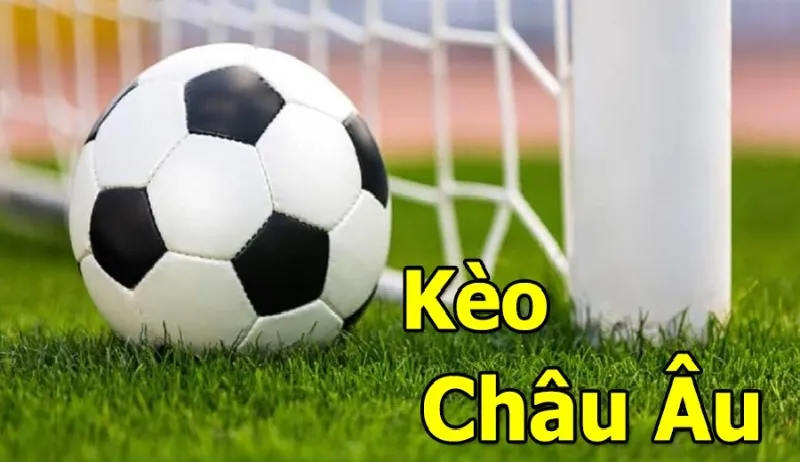 Tỷ lệ kèo châu Âu hay còn được gọi là Odds