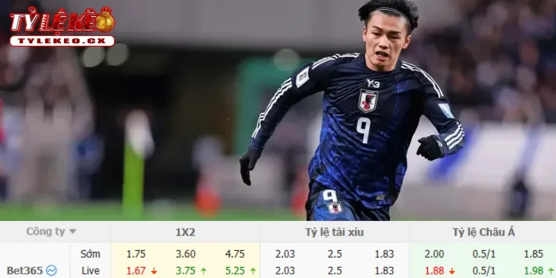 Soi Kèo Brazil vs Nhật Bản (08h00 ngày 30/06) Vòng 32 Đội World Cup 3 Chi tiết kèo Brazil vs Nhật Bản