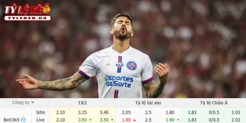Soi Kèo Atletico Mineiro vs Bahia (05h30 ngày 22/07) VĐQG Brazil 3 Chi tiết kèo Atletico Mineiro vs Bahia