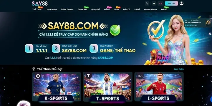 Tổng quan về nhà cái uy tín Say88